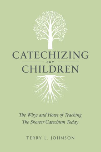 Educational book on teaching children core doctrines of the Christian faith, focusing on effective catechism methods for families and churches.