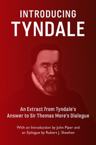 Introducing Tyndale