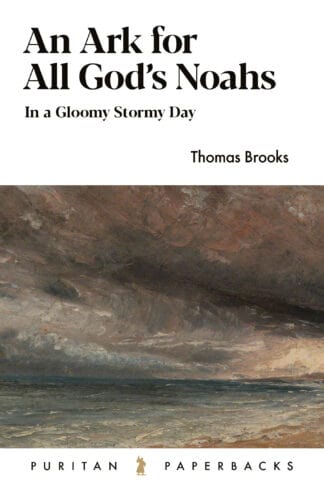 Christian book cover, religious inspiring design with stormy sky and ocean scene, related to gospel and biblical faith, promoting spiritual growth and biblical understanding.