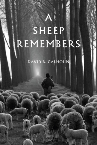 A Sheep Remembers