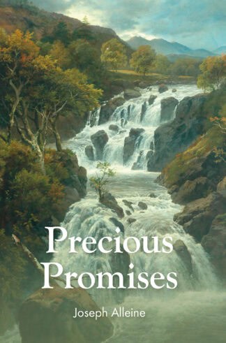Precious Promises