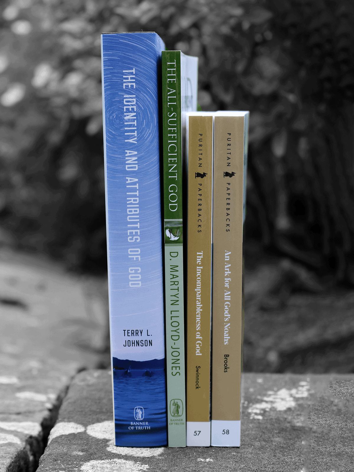 Doctrine of God Bundle