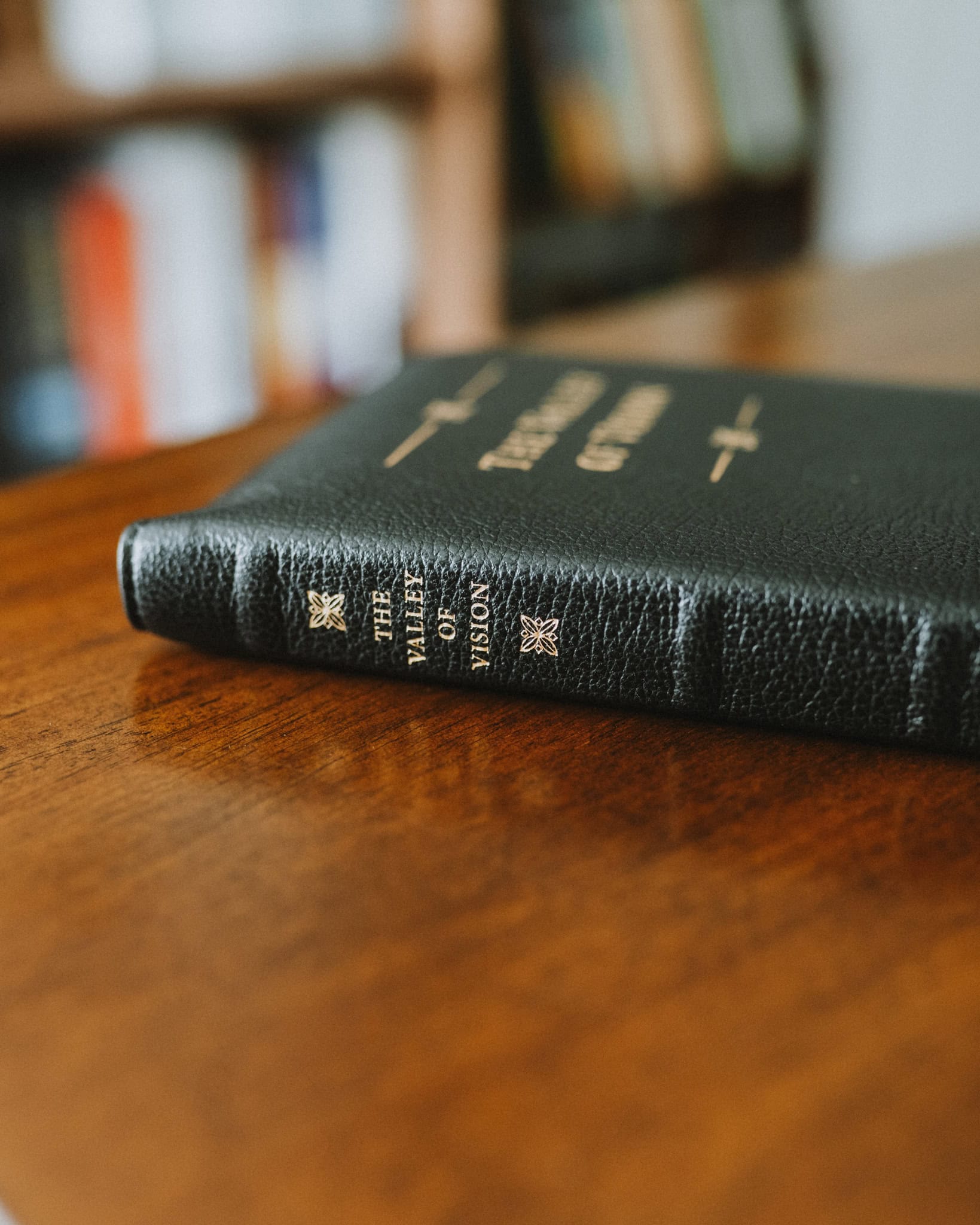 The Valley of Vision, Premium Goatskin Edition