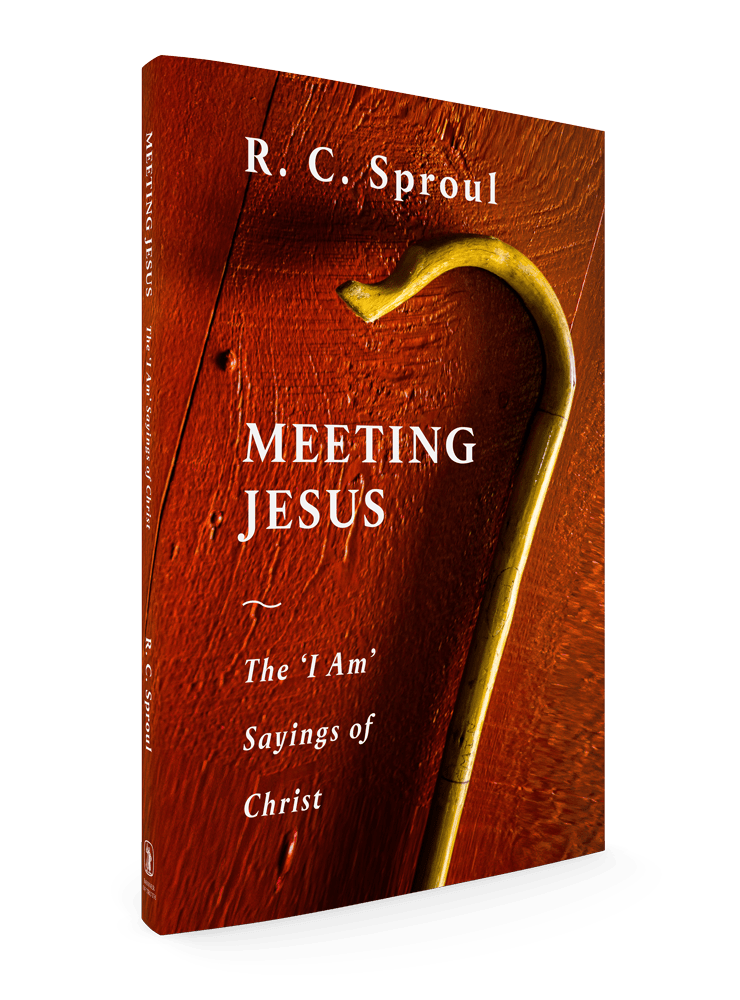 3D image of Meeting Jesus by R.C. Sproul