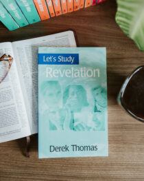 Let’s Study Revelation by Derek Thomas