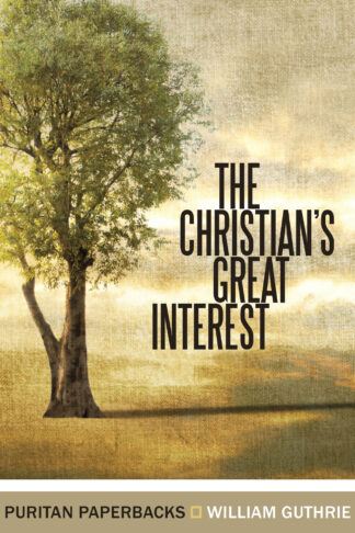 The Christian's Great Interest by William Guthrie