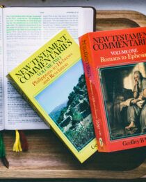 New Testament Commentaries by Geoffrey Wilson