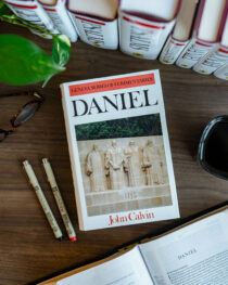 Daniel Commentary by John Calvin