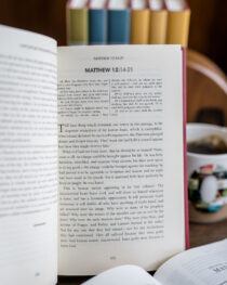 Expository Thoughts on Matthew by J. C. Ryle