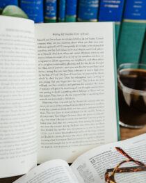 Sermons on Genesis 11-20 by John Calvin