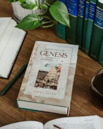 Sermons on Genesis 11-20 by John Calvin