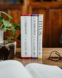 Sermons on 1 Timothy by John Calvin