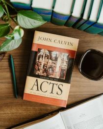 Sermons on Acts by John Calvin