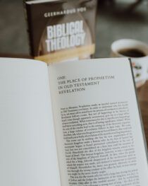 Biblical Theology by Geerhardus Vos