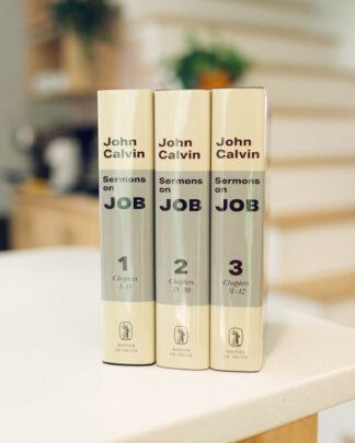 Sermons on Job by John Calvin